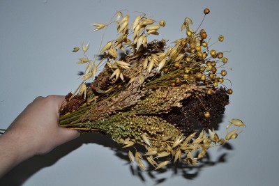 klasy-big-p.jpg