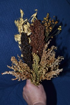 klasy-final-p.jpg