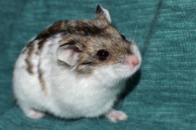 bianca-04mes-01p.jpg